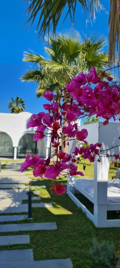 Maison - Dar Ouled Soltane Gammarth Kültér fotó